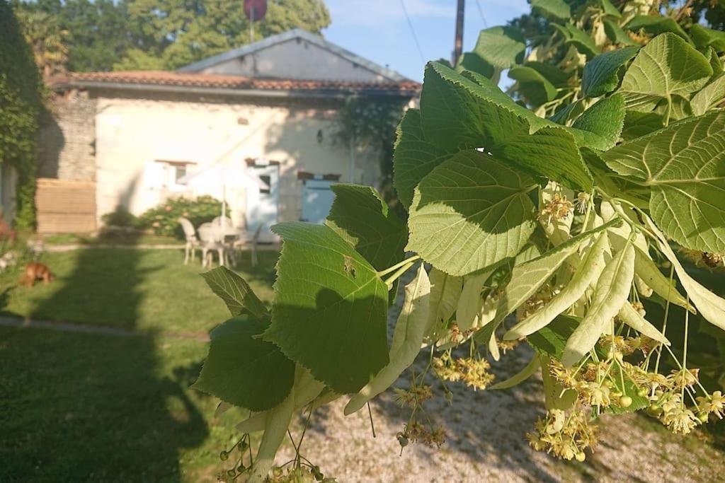 Entire Apartment With Swimming Pool Near Aubeterre Saint-Romain  外观 照片