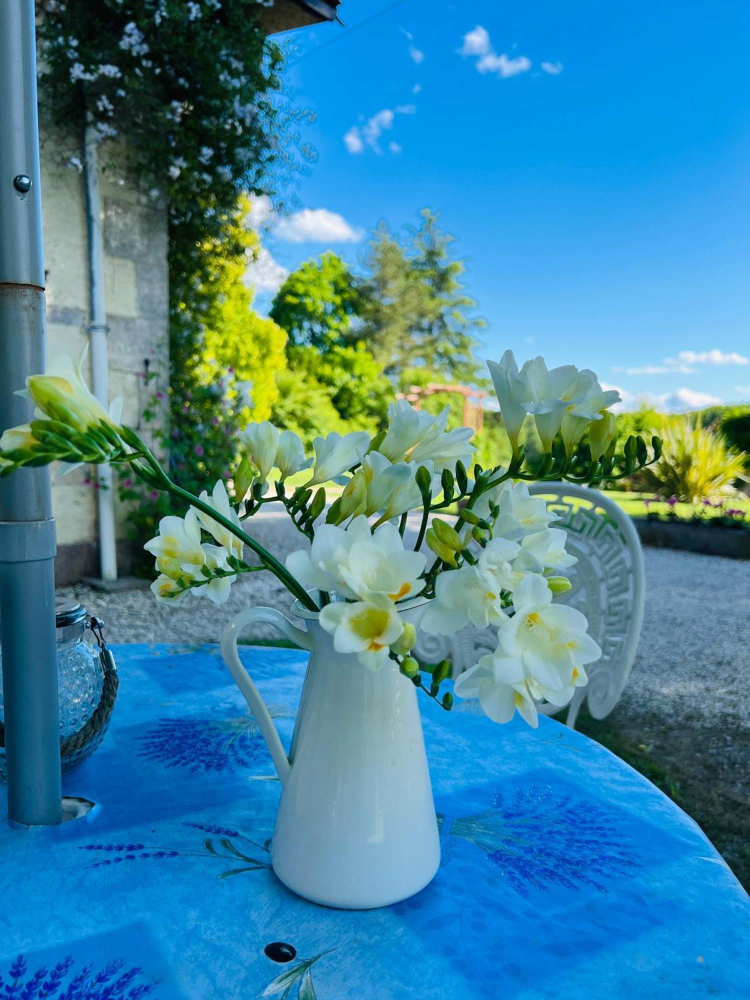 Entire Apartment With Swimming Pool Near Aubeterre Saint-Romain  外观 照片